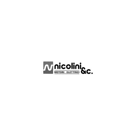 Nicolini Motori